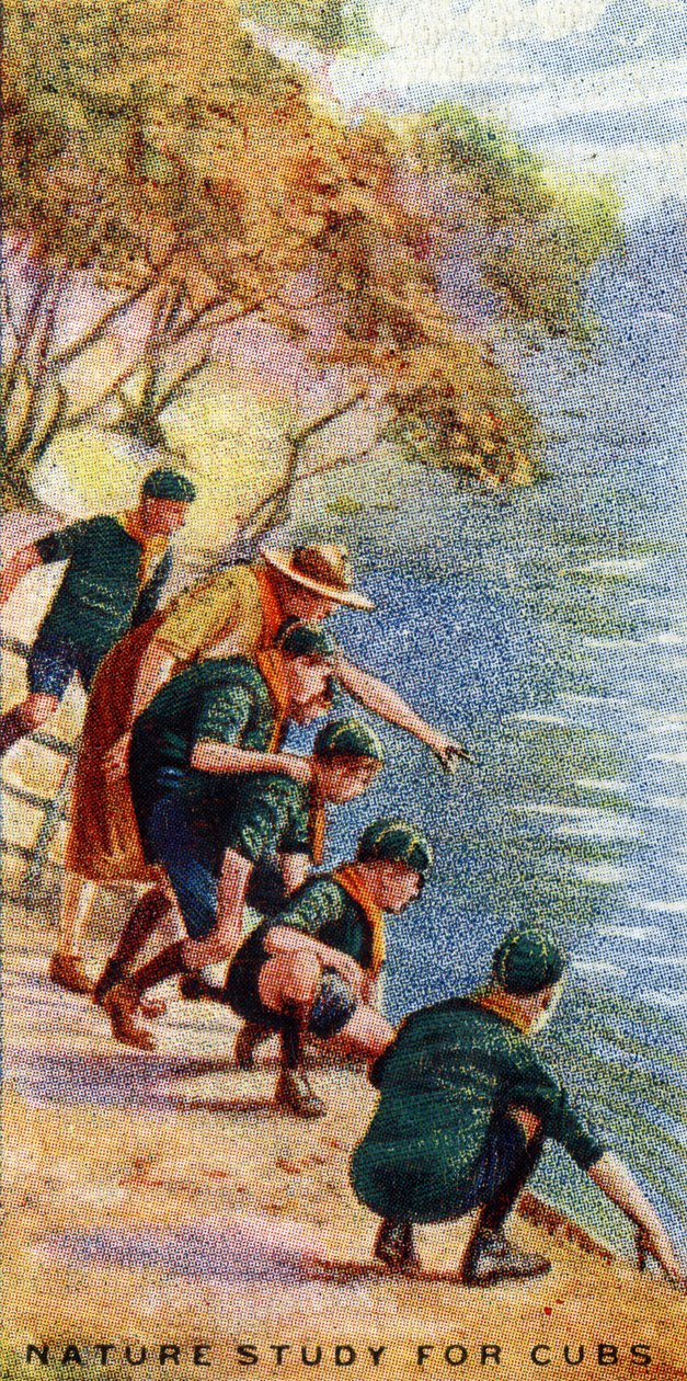 Yavrular için Doğa Çalışması, 1929 by English School