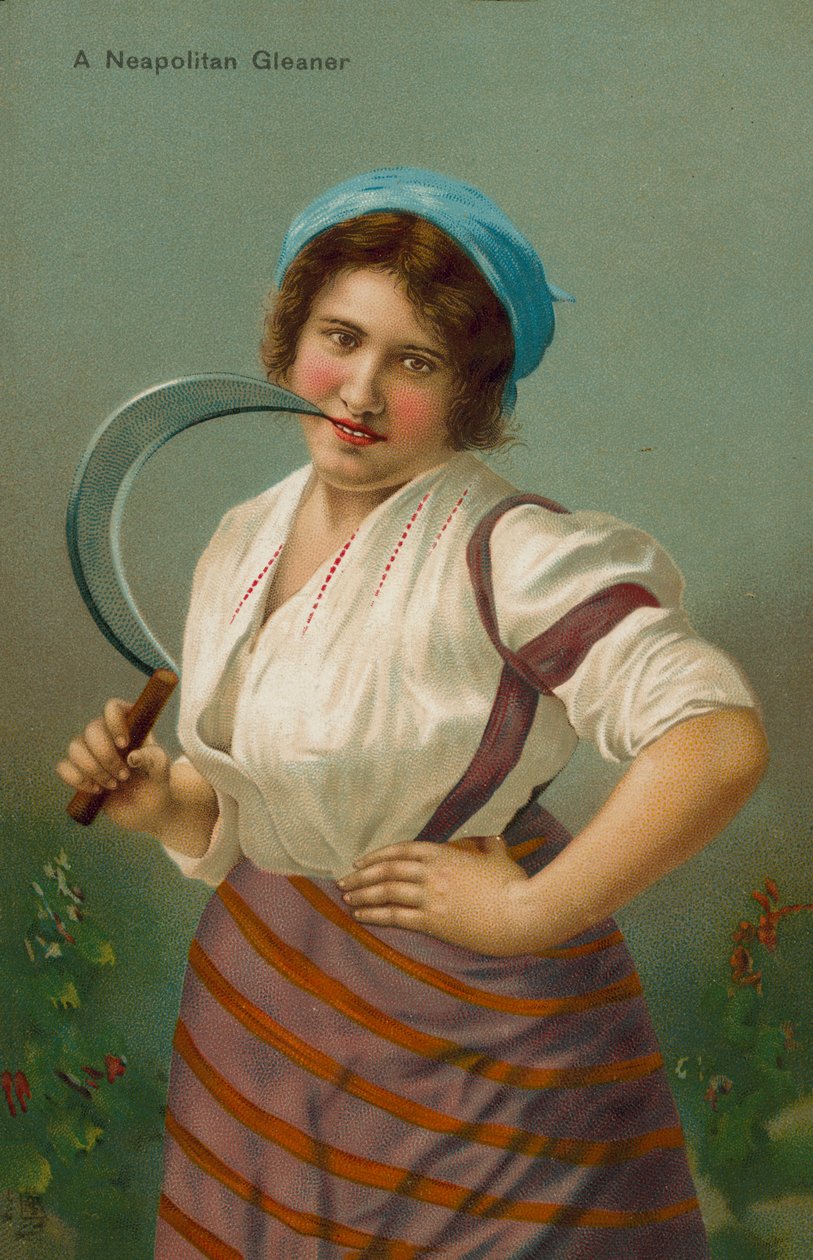 Napoliten toplayıcı (chromolitho) by English School