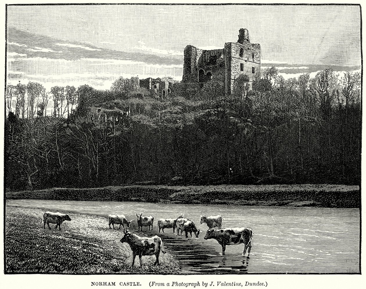 Norham Kalesi (gravür) by English School
