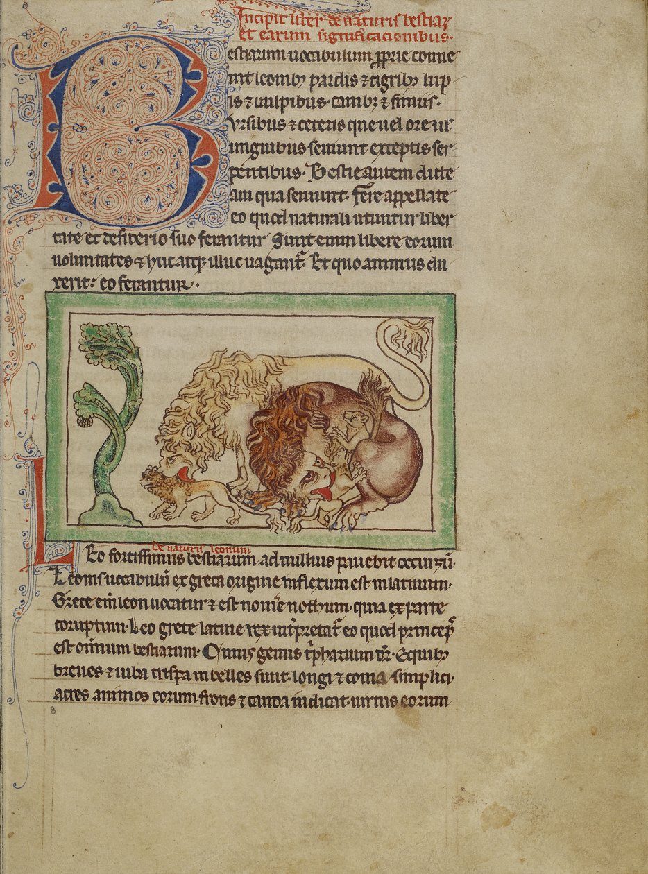Northumberland Bestiary, c.1250-60 (parşömen üzerine renkli boyalar ve mürekkep) by English School