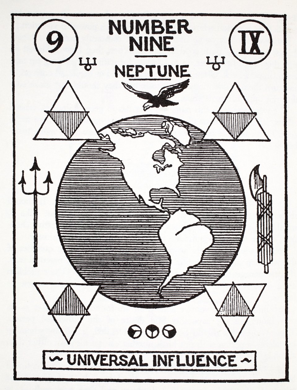 Dokuz Numara, Neptün by English School