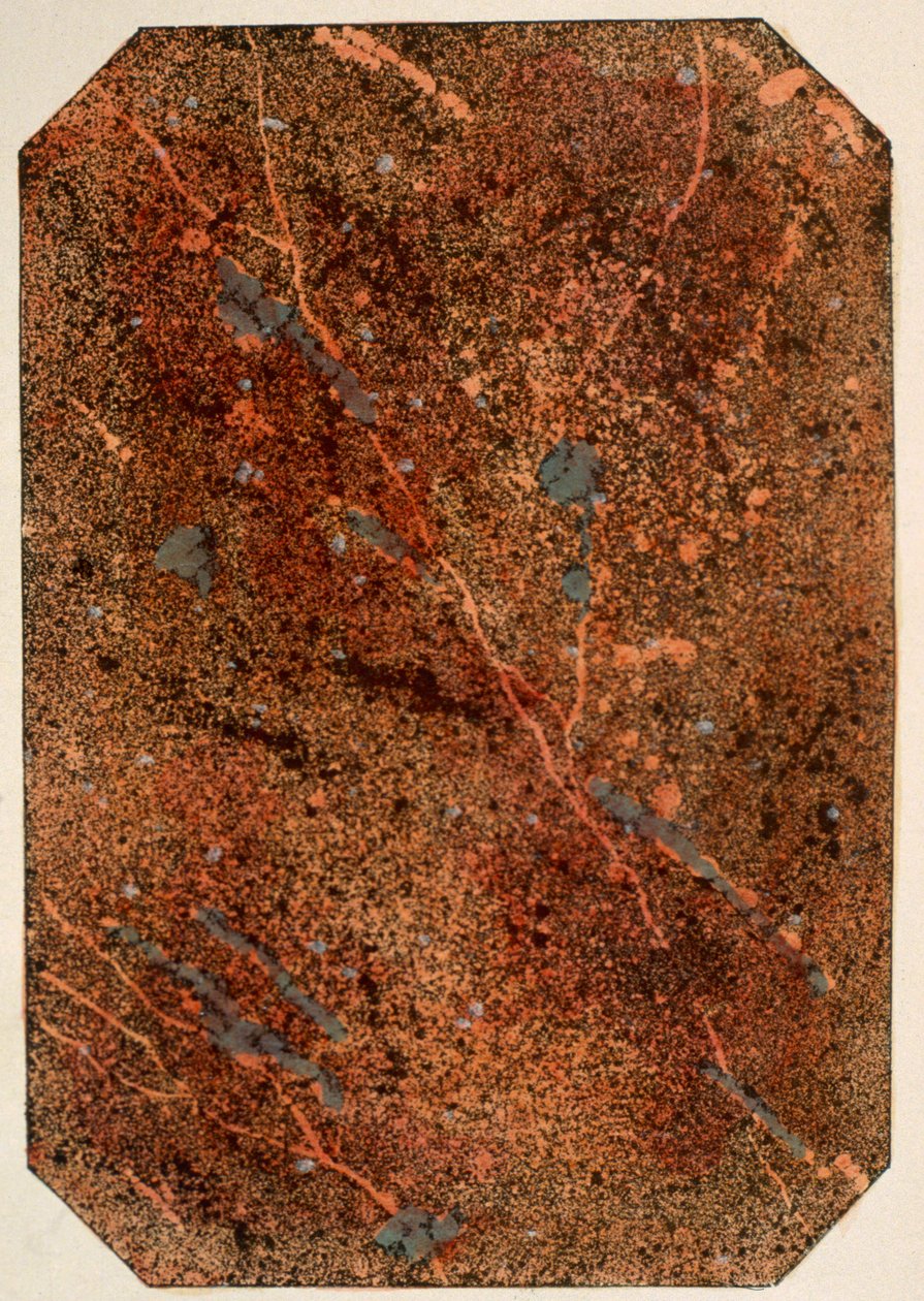 Ebru efektlerini gösteren bir Viktorya dönemi desen kitabından sayfa, 1880