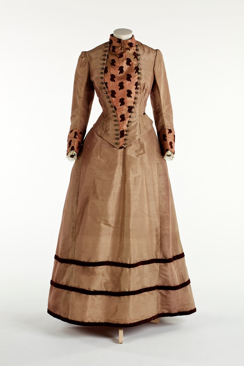 Soluk erik elbise, c.1885 (ipek) by English School