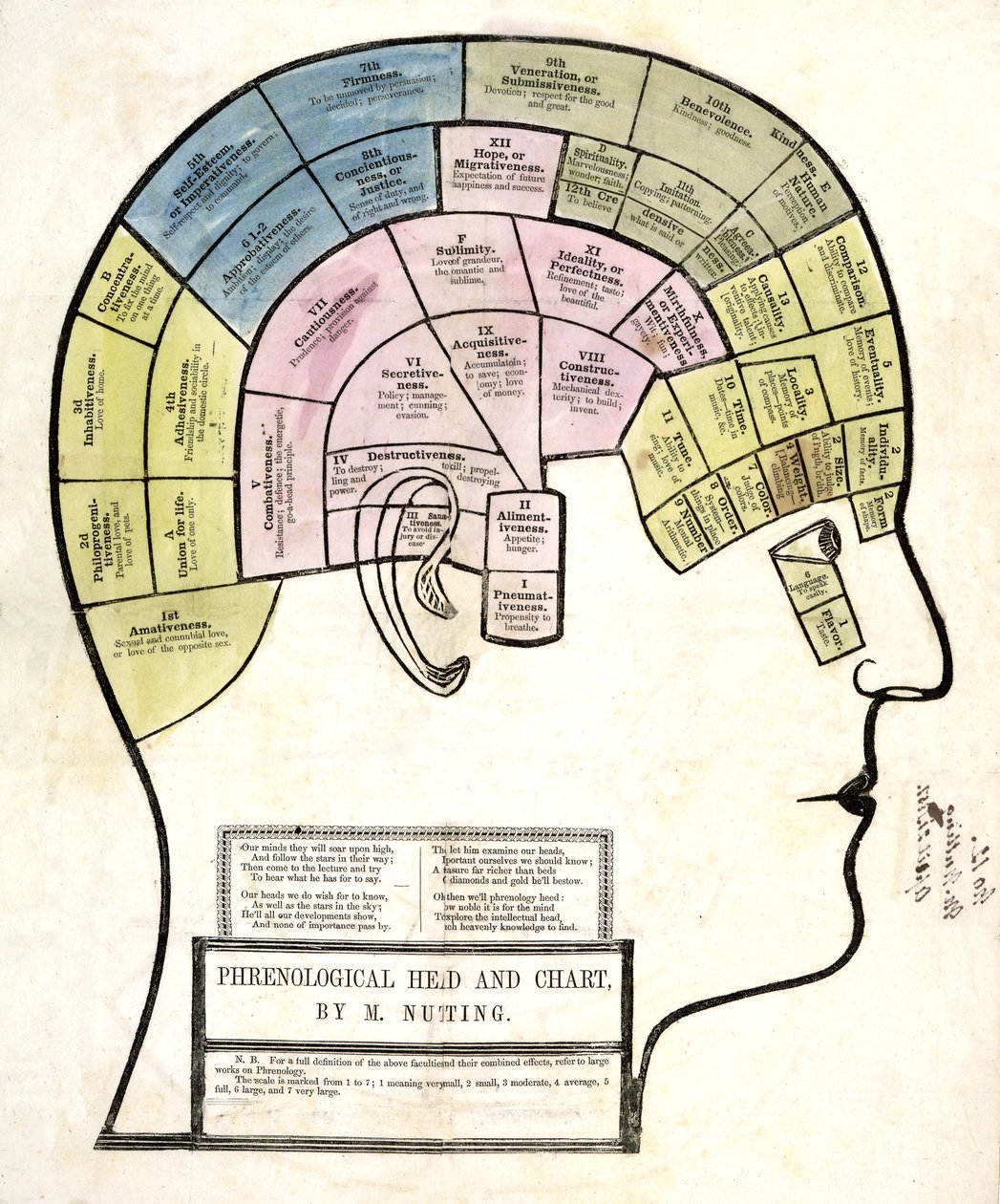 Frenolojik Baş ve Grafik, pub. 1857 (renkli taş) by English School
