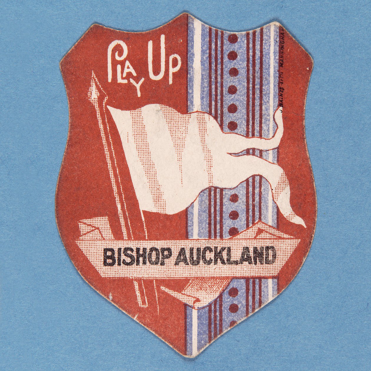 Piskopos Auckland