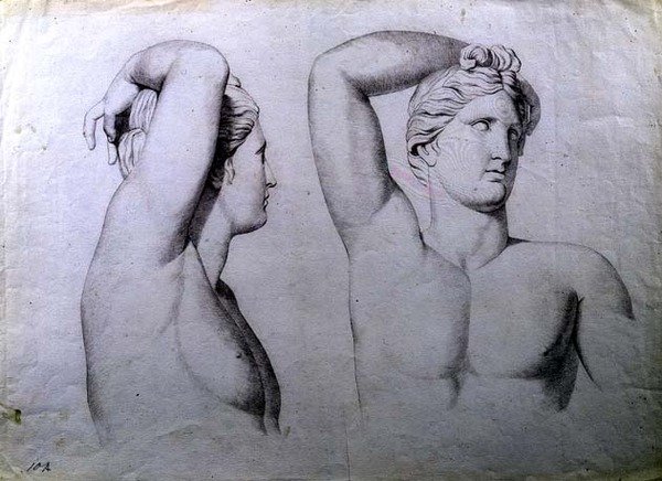 Çıplak Portre Büstleri, c.1780 (kağıt üzerinde tebeşir) by English School
