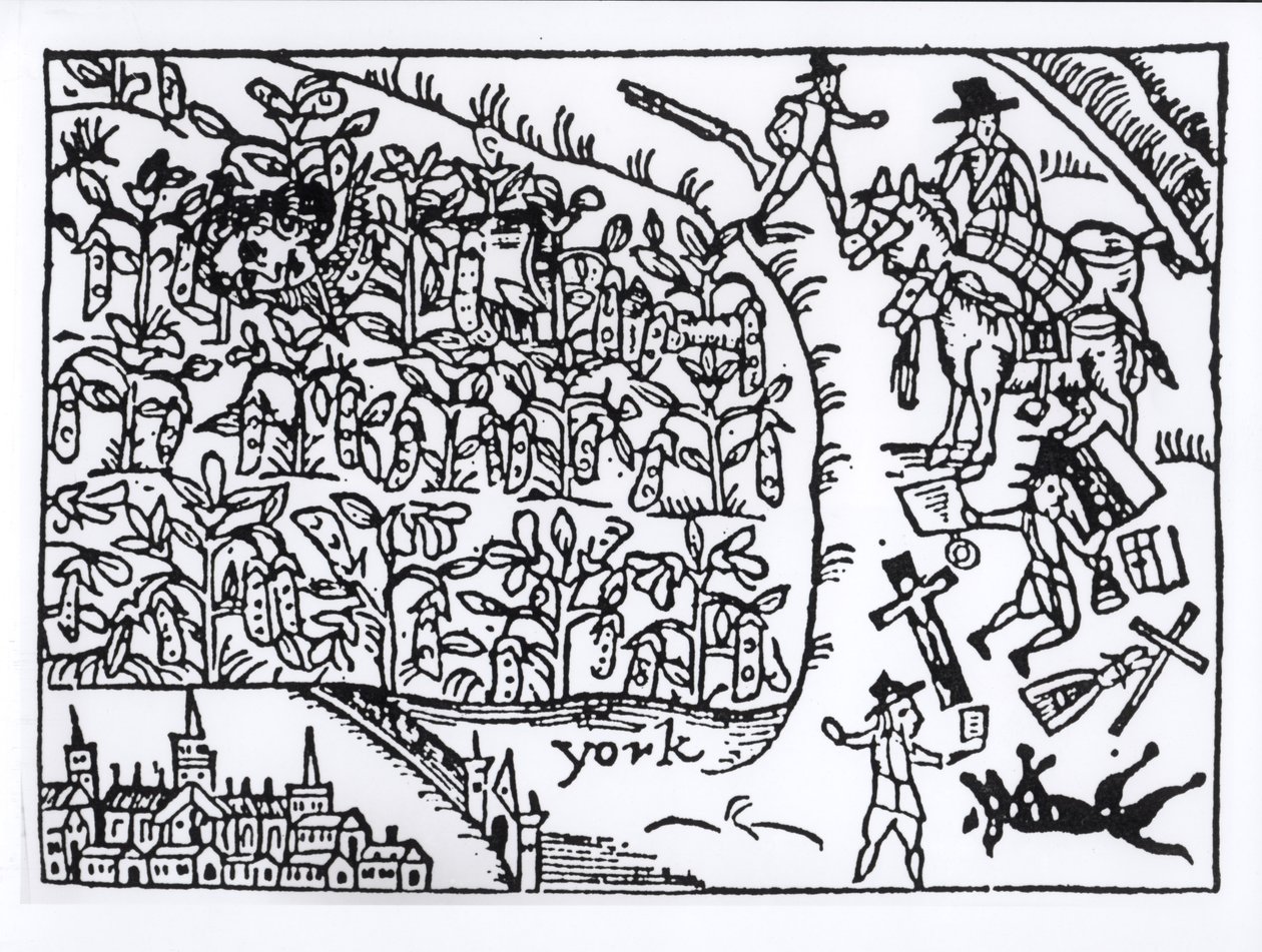 Prens Rupert (1619-82) 2 Temmuz 1644