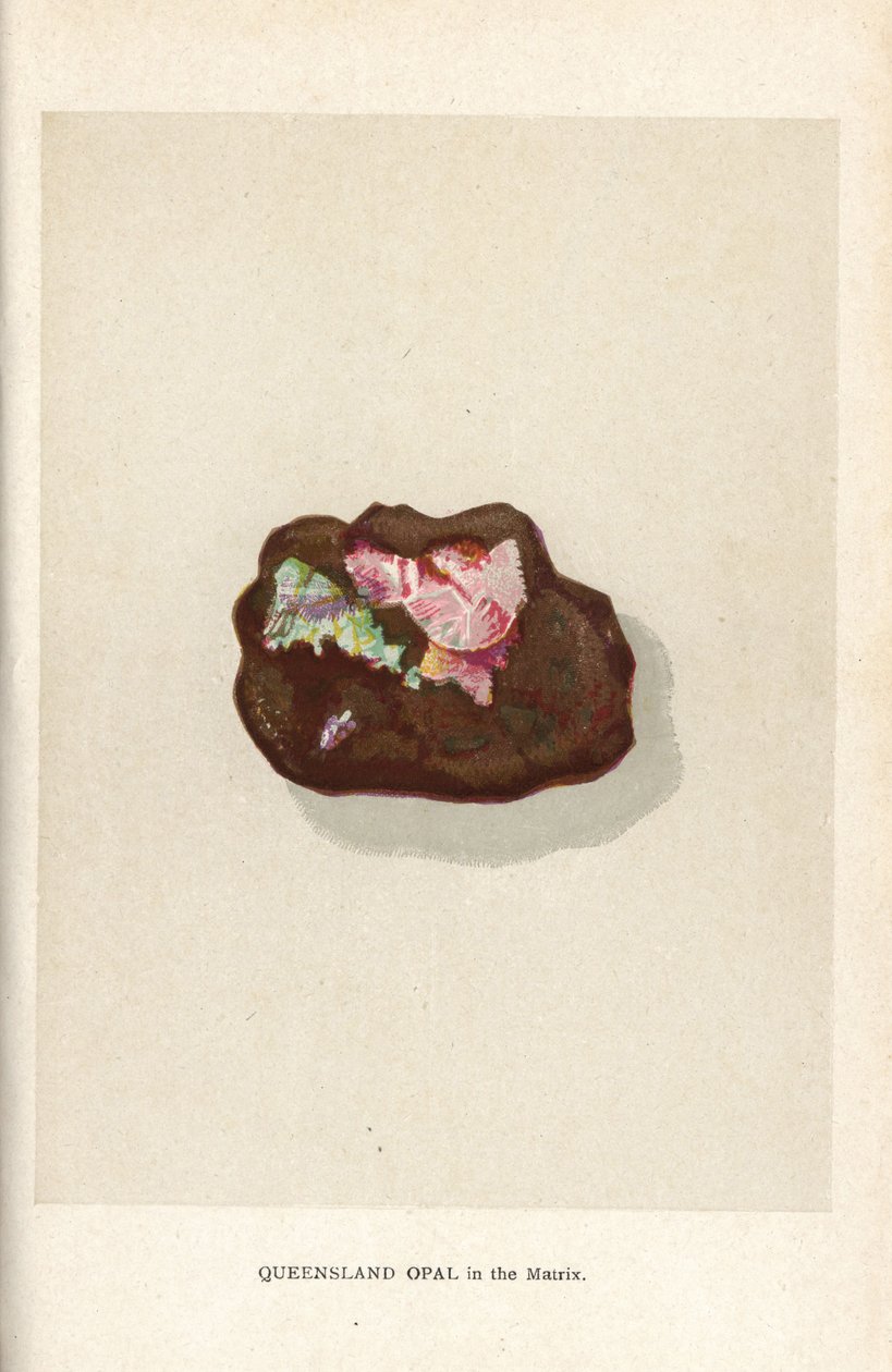 Matriste Queensland opal, Edwin Streeter