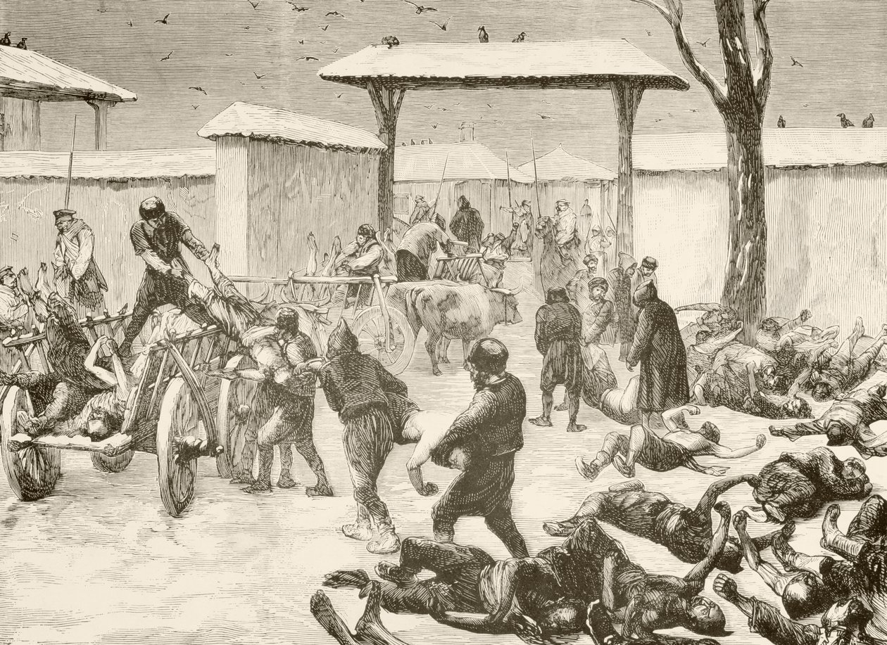 1877'de Bulgaristan'ın Plevna kuşatmasından sonra ölülerin kurtarılması (litho) by English School