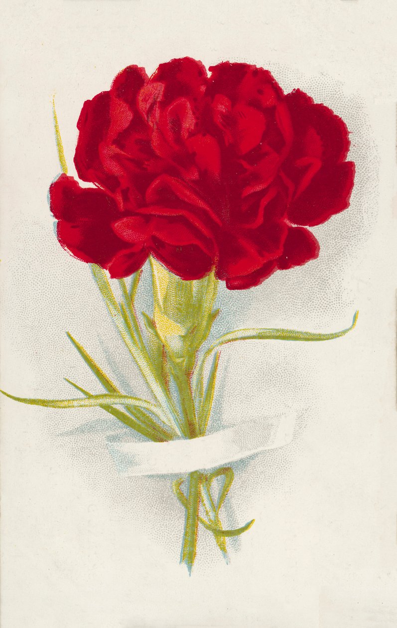 Kırmızı karanfil (chromolitho) by English School