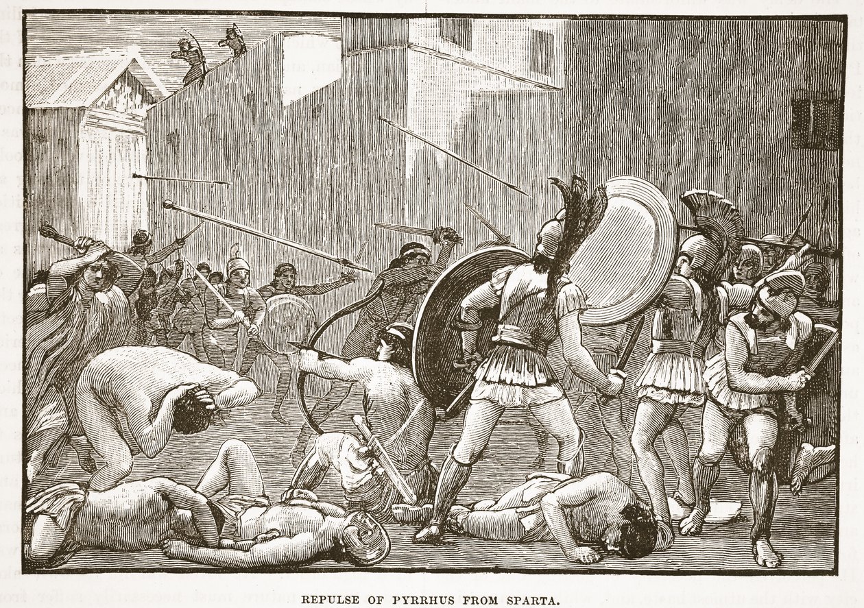 Pyrrhus