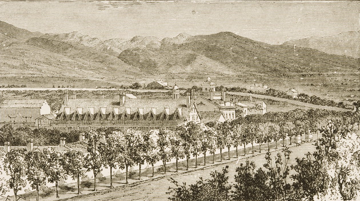 Brigham Young