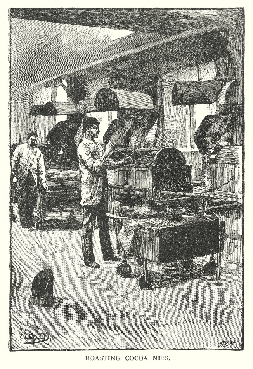 Kakao Uçlarının Kavrulması (gravür) by English School