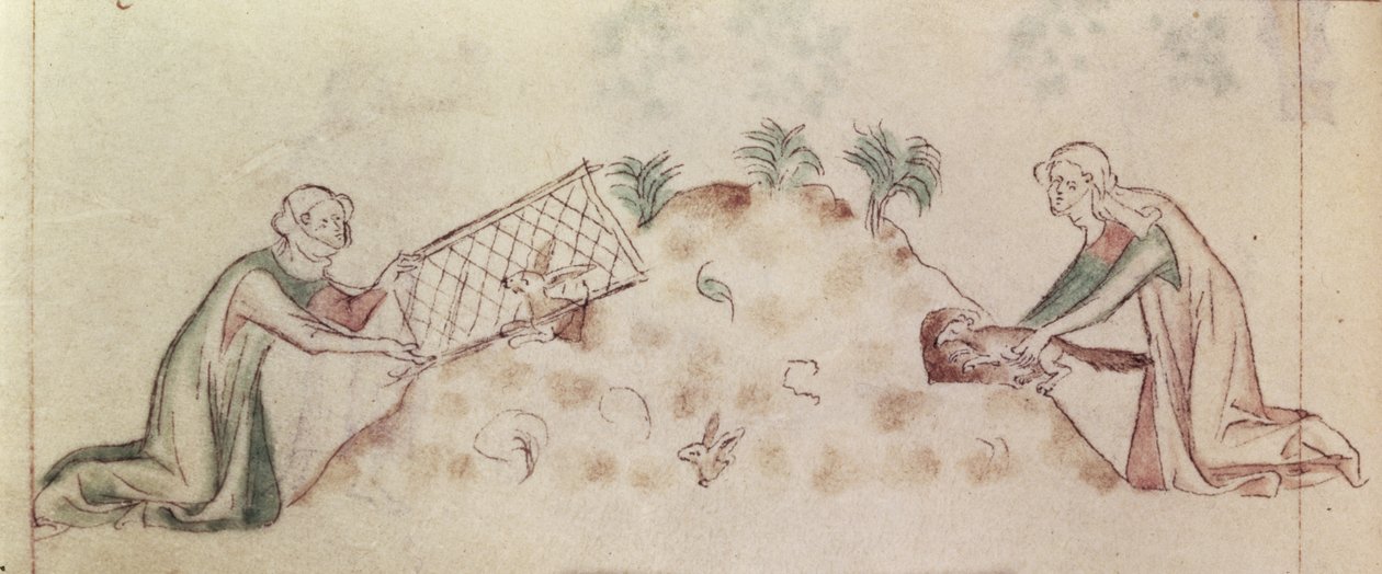 Roy 2 B VII f.155v “Queen Mary Psalter”dan ağ ve gelincikle tavşan yakalayan kadınlar, c.1310-20 (parşömen) by English School