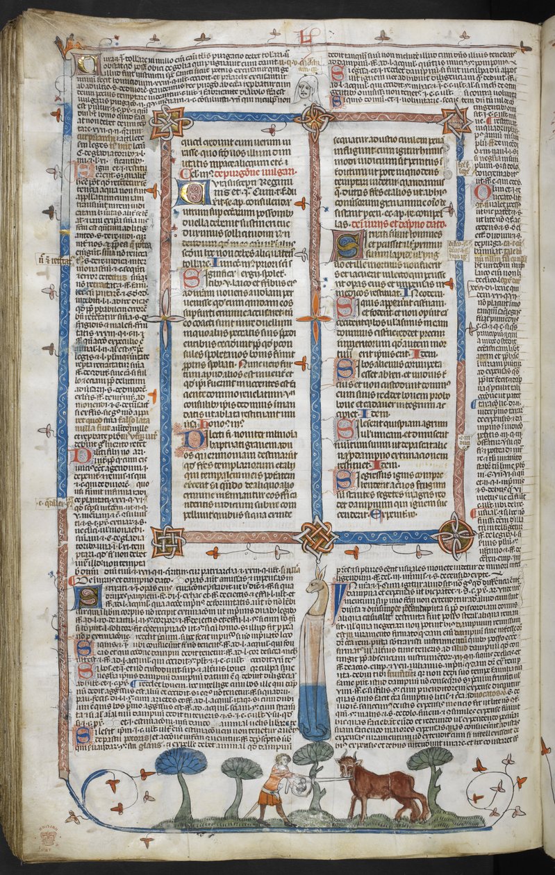 Kraliyet 10 E IV fol. 294v Bir öküze saldıran adam, Smithfield Kararnamelerinden (Gregory IX Kararnameleri) c.1340 (parşömen) by English School
