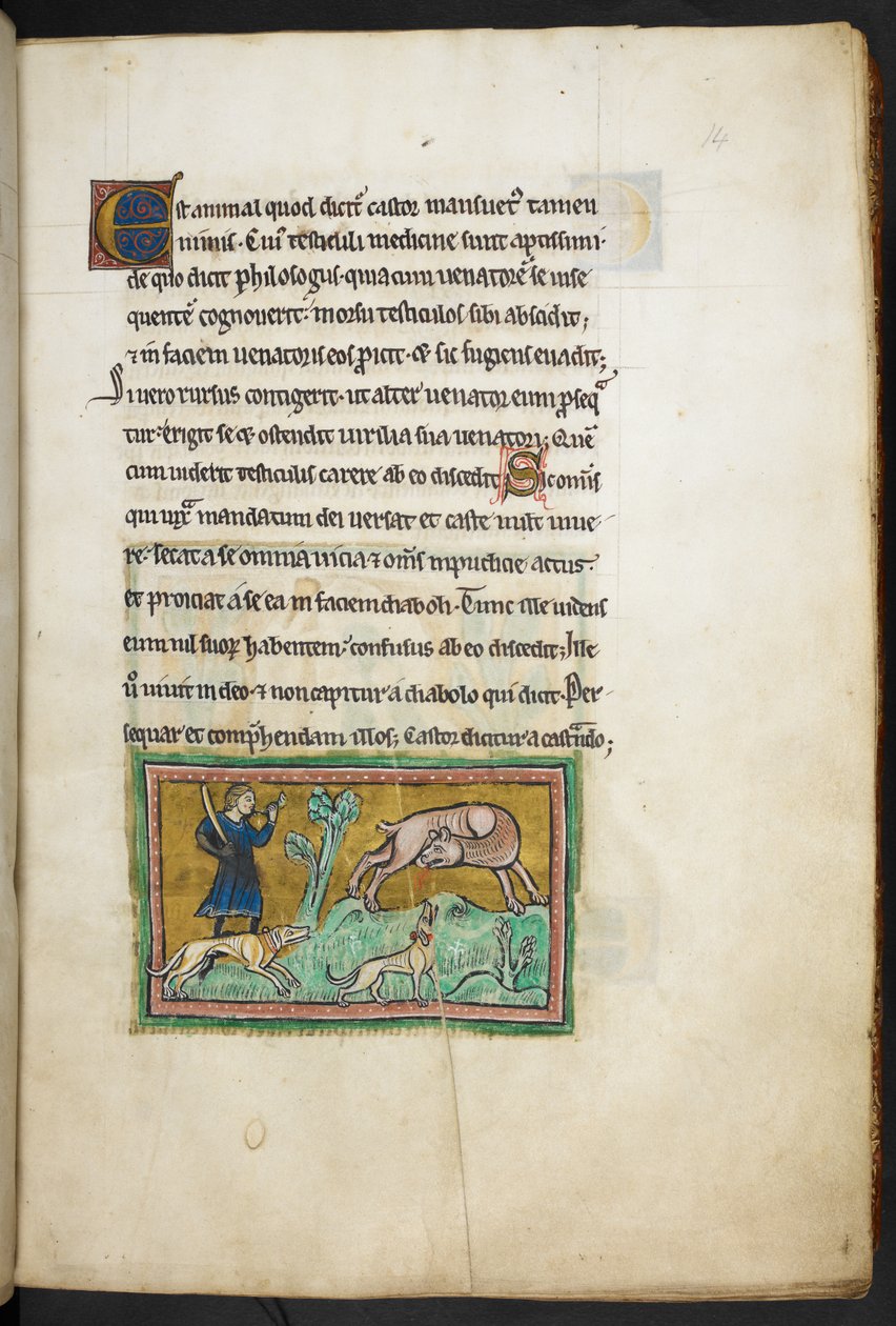 Royal 12 F.XIII, f.14 13. yüzyılın 2. çeyreğinden Rochester Bestiary