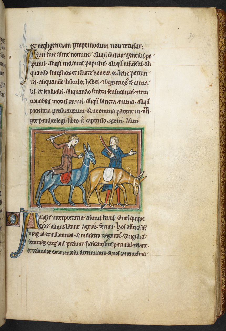 Kraliyet 12 F.XIII, f.39   Kıçlı iki adamla iki adam. , Bestiary