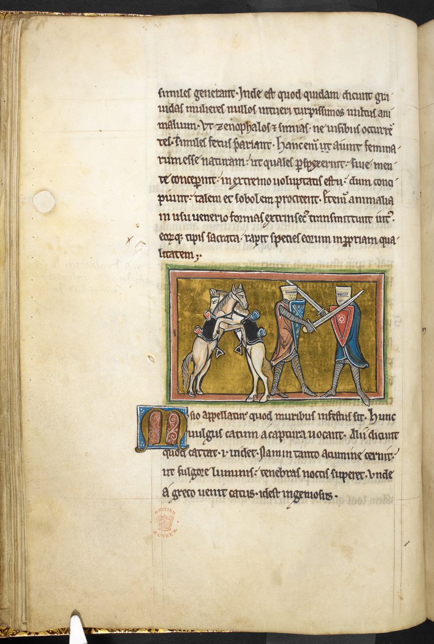 Kraliyet 12 F.XIII, f.42v İki şövalye kılıçlarıyla yaya, atları arka ayakları üzerinde birbirleriyle dövüşürler. , Bestiary