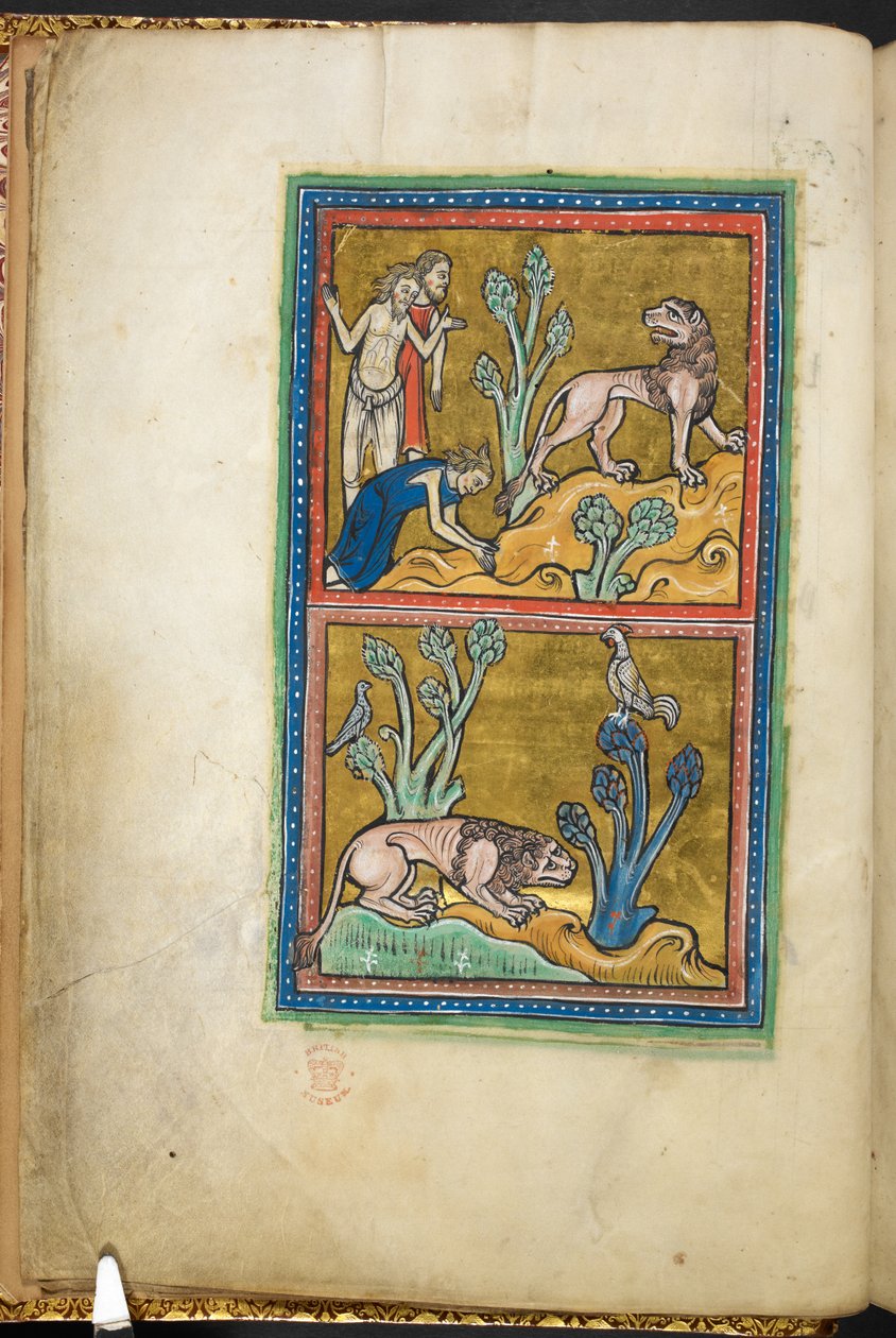 Kraliyet 12 F.XIII, f.5v Üstte: biri aslanın önünde eğilen üç adam; altta: bir ağacın dibine çömelmiş bir aslan, tepesinde bir horoz oturuyor.  Bestiary