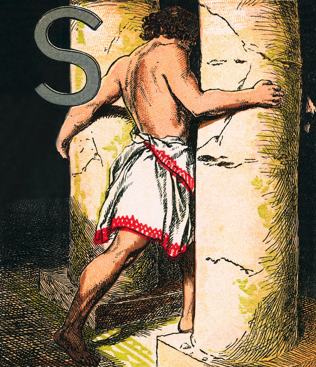 Samson (renkli lito) by English School