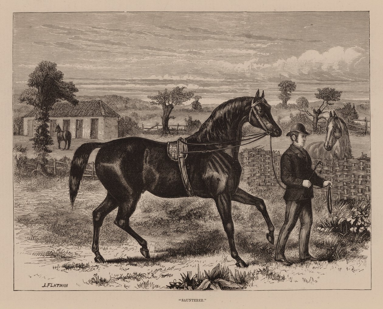 "Saunterer" (gravür) by English School