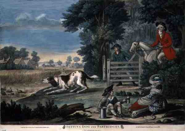 Ayar Köpek ve Keklikler, pub. Carington Bowles tarafından (fl.1744-93) by English School