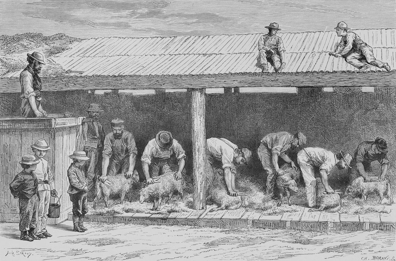 Shear Shearing, c.1880, Howard Willoughby