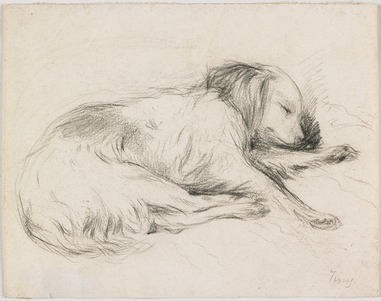 Uyuyan Köpek, c.1840 (kağıt üzerinde grafit) by English School
