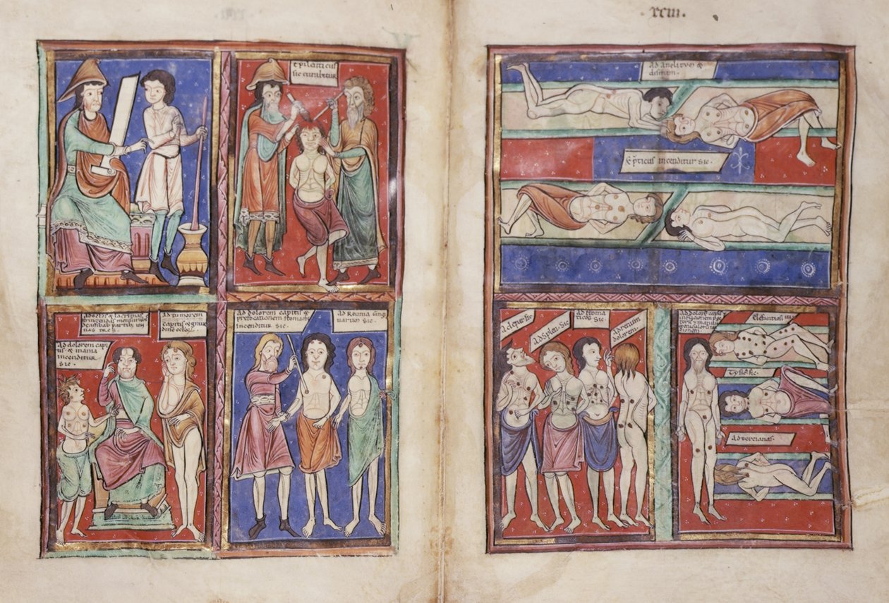 Sloane 1975 fol.91v-92 Tıbbi sahneler by English School