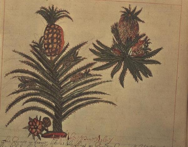 Sloane 4013 f.16v 