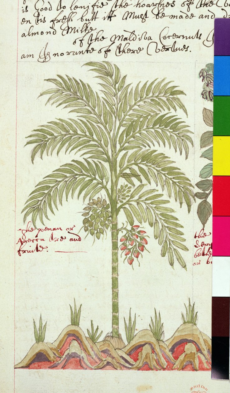 Sloane 4013 f.5v 