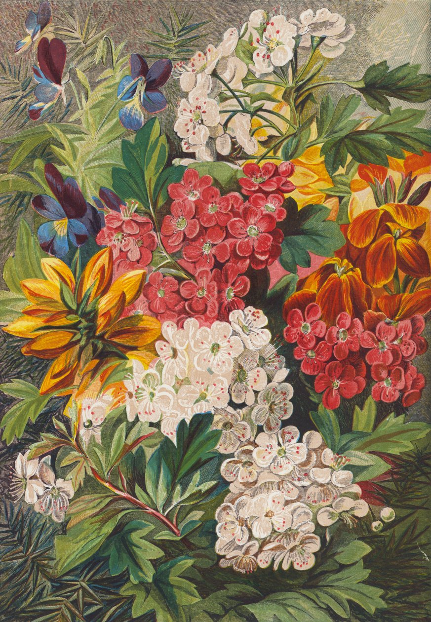 Bahar çiçekleri (renkli lito) by English School