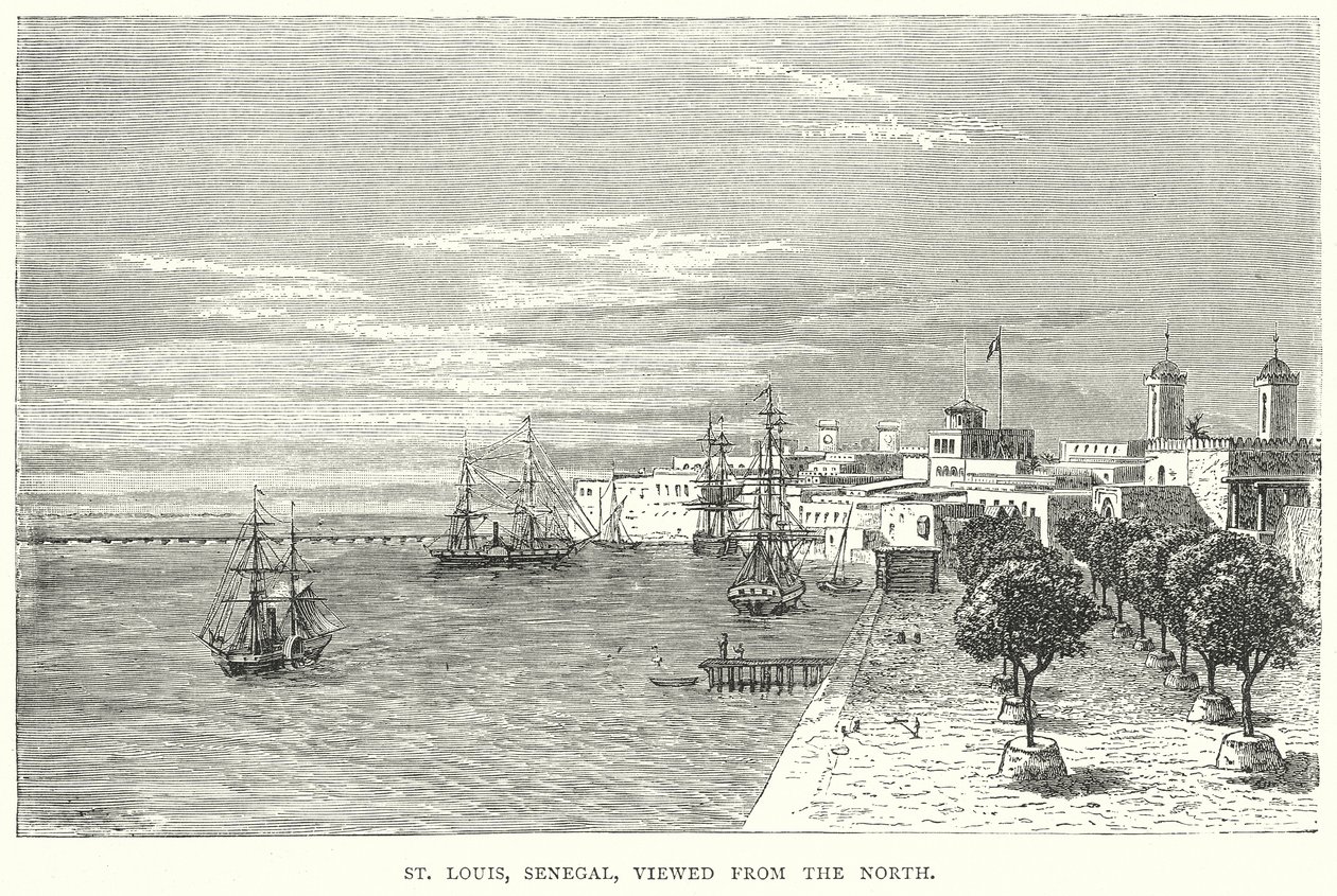 St Louis, Senegal, Kuzeyden Görünüş (gravür) by English School