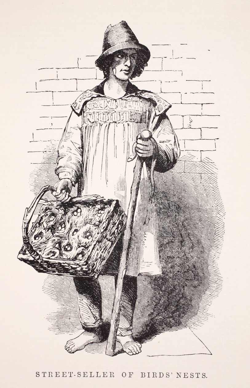 Sokak satıcısı kuş yuvaları, Henry Mayhew tarafından London Labor ve London Poor