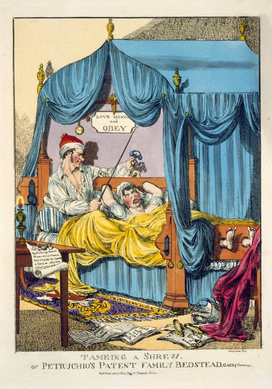 Bir Shrew veya Petruchio