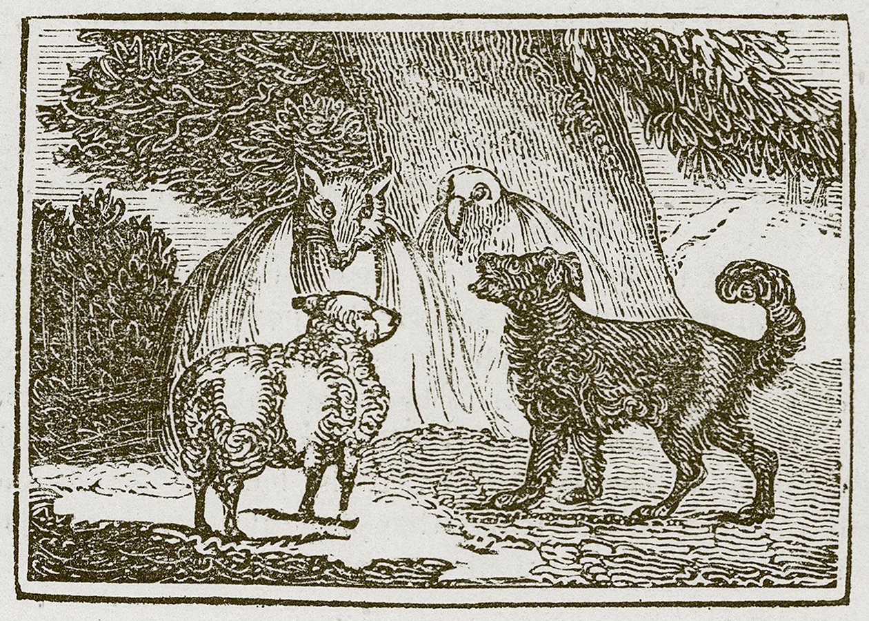 Köpek ve Koyun (gravür) by English School