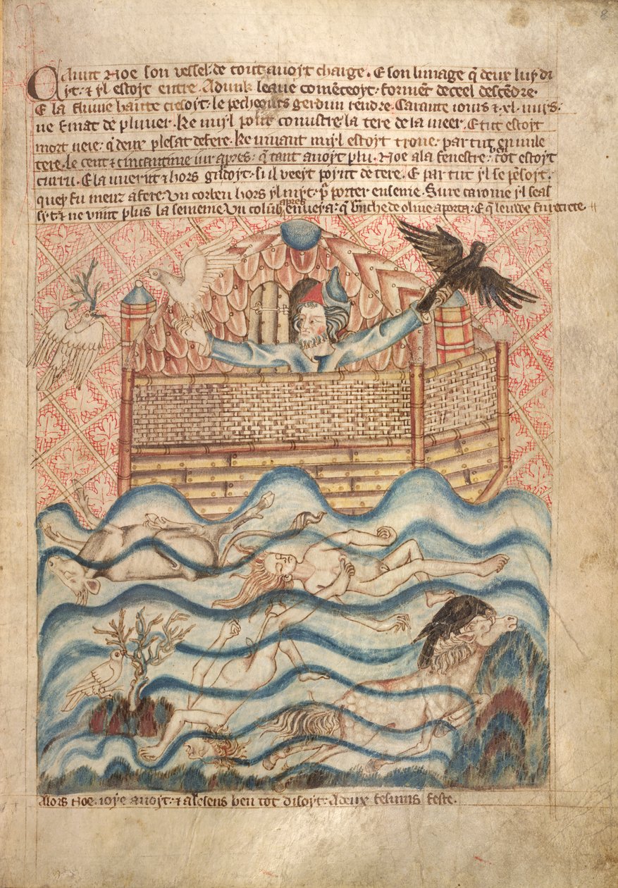 Güvercin ve Kuzgun, 'Holkham İncil Resimli Kitap'tan, c.1320-30 (kağıt üzerine suluboya) by English School