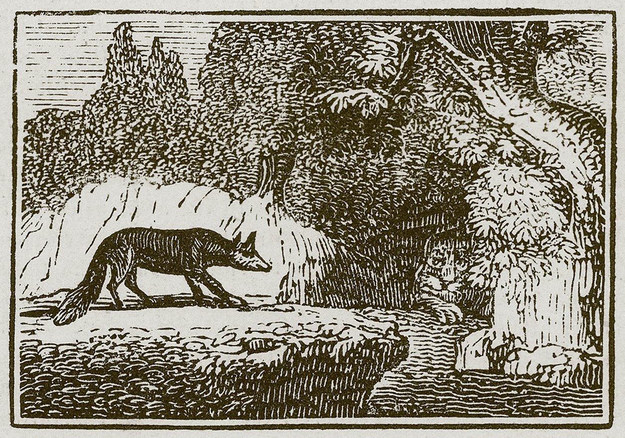 Tilki ve Hasta Aslan (gravür) by English School