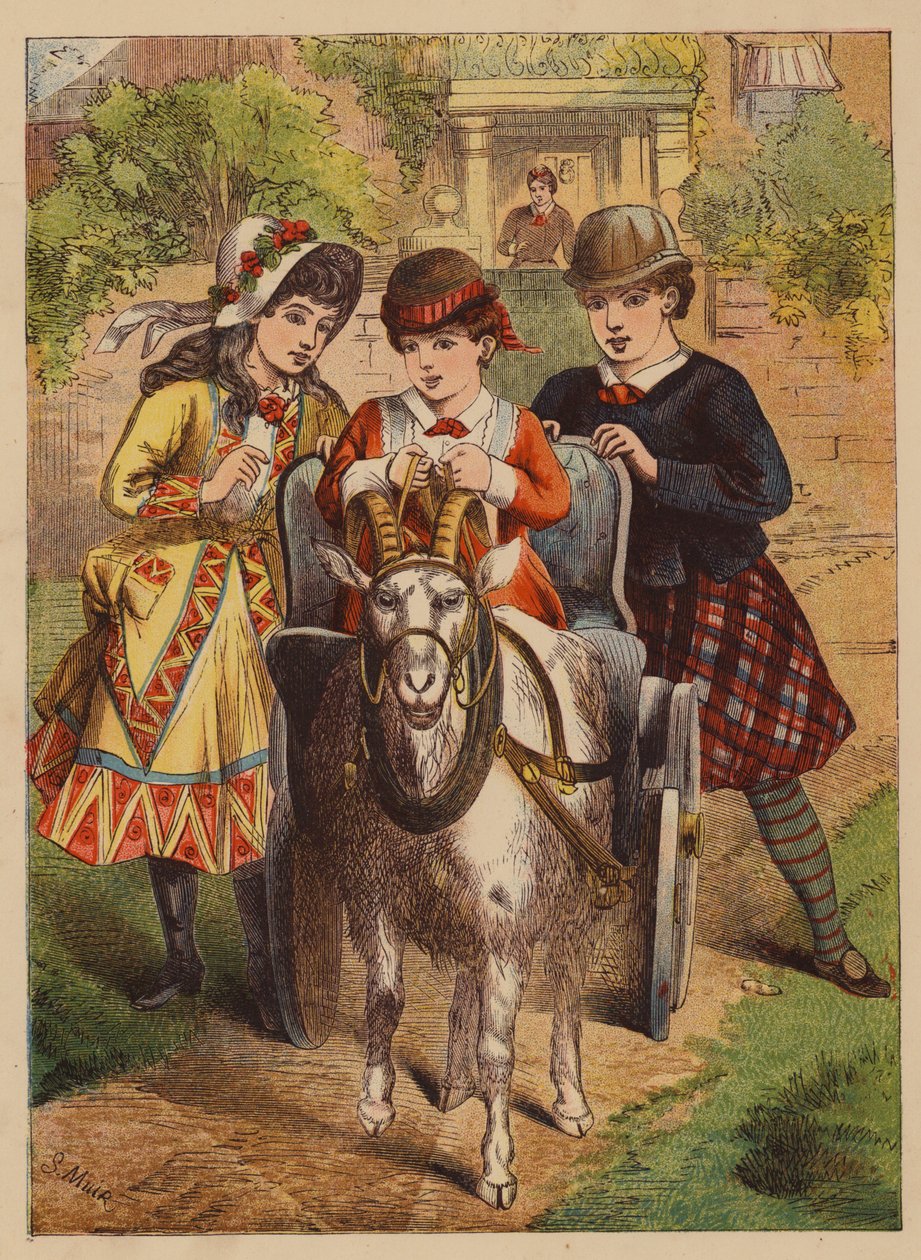 Keçi Şezlongu (renkli lito) by English School