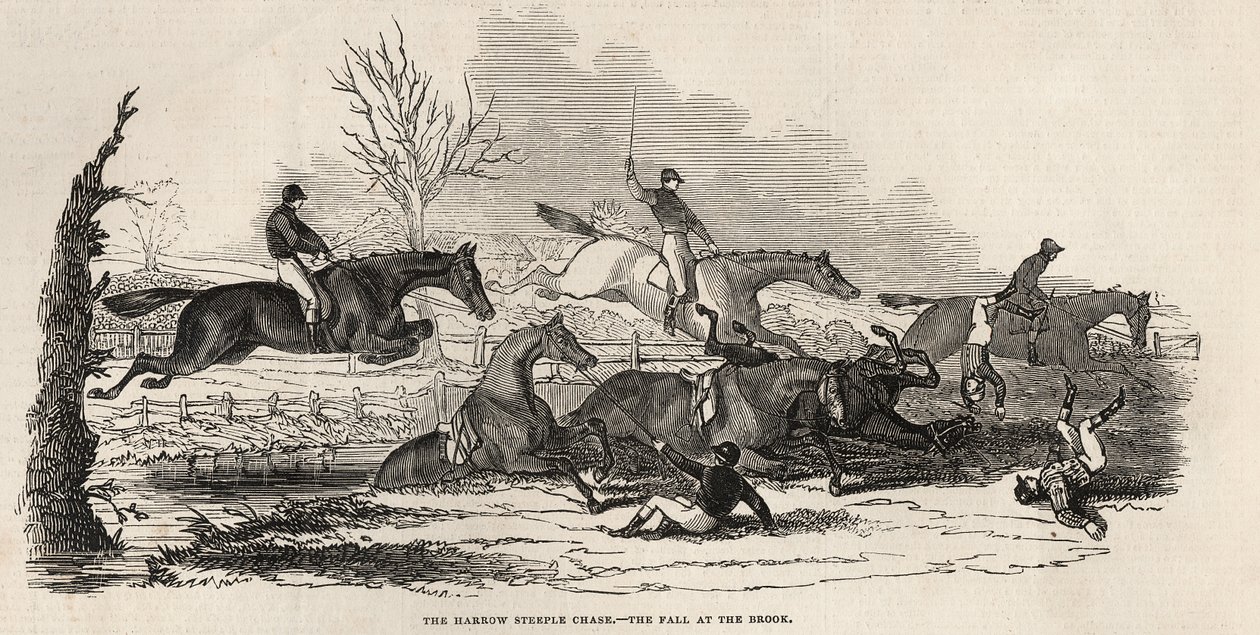 Harrow Steeple Chase: The Fall at the Brook, 
