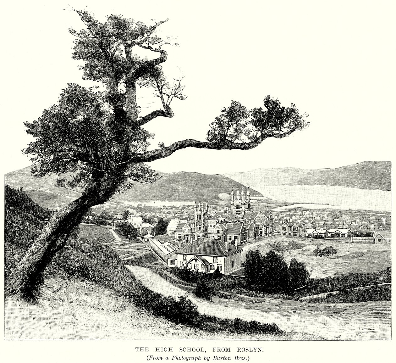 Roslyn