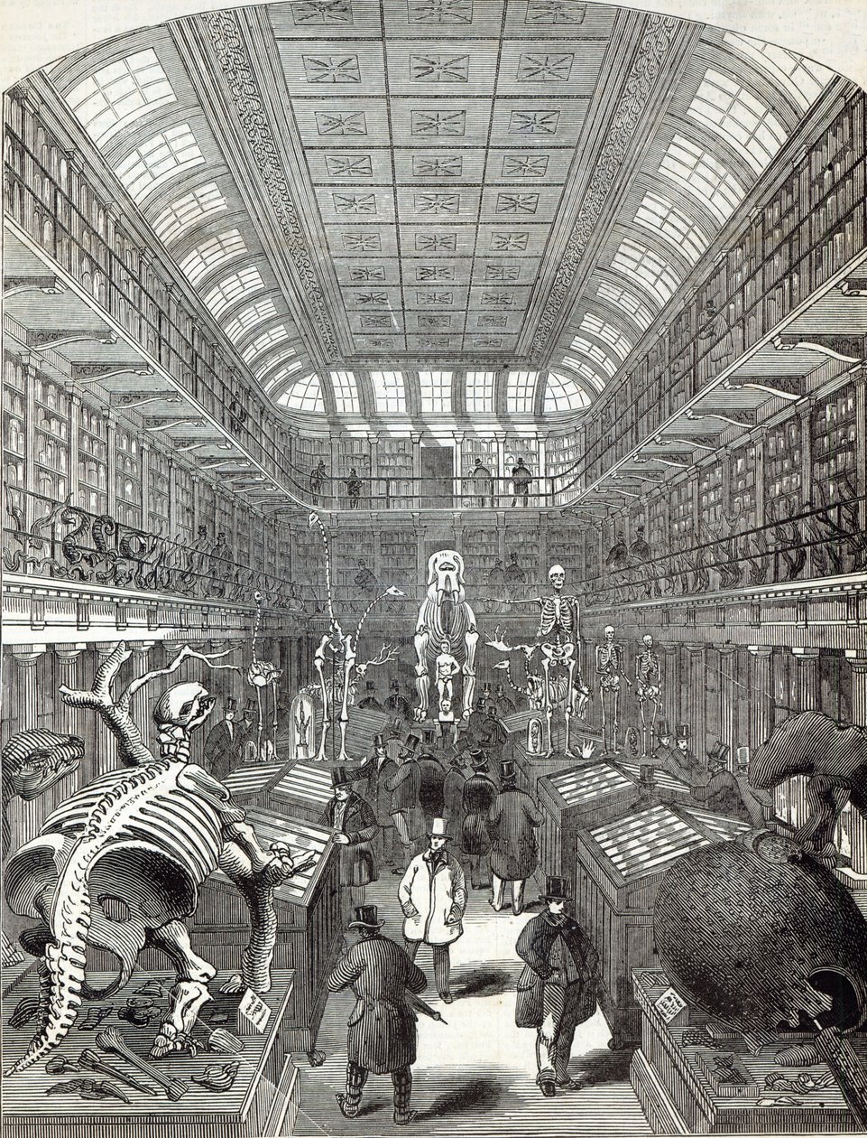 The Illustrated London News