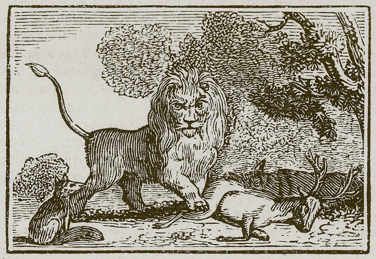 Aslan, Eşek ve Tilki (gravür) by English School