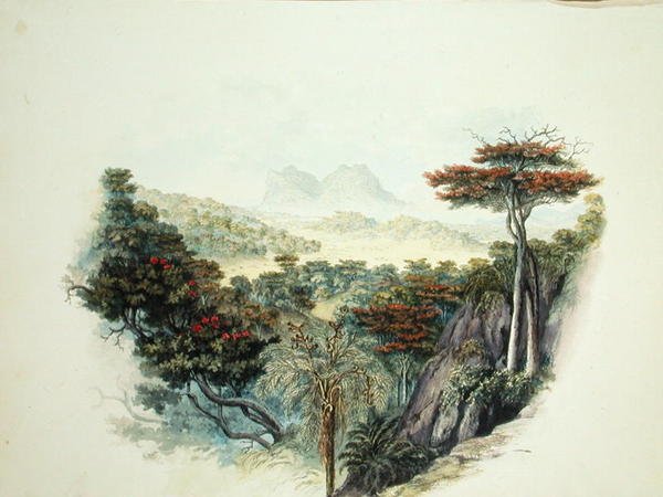 Dağlar, Seylan (kağıt üzerine sulu boya) by English School