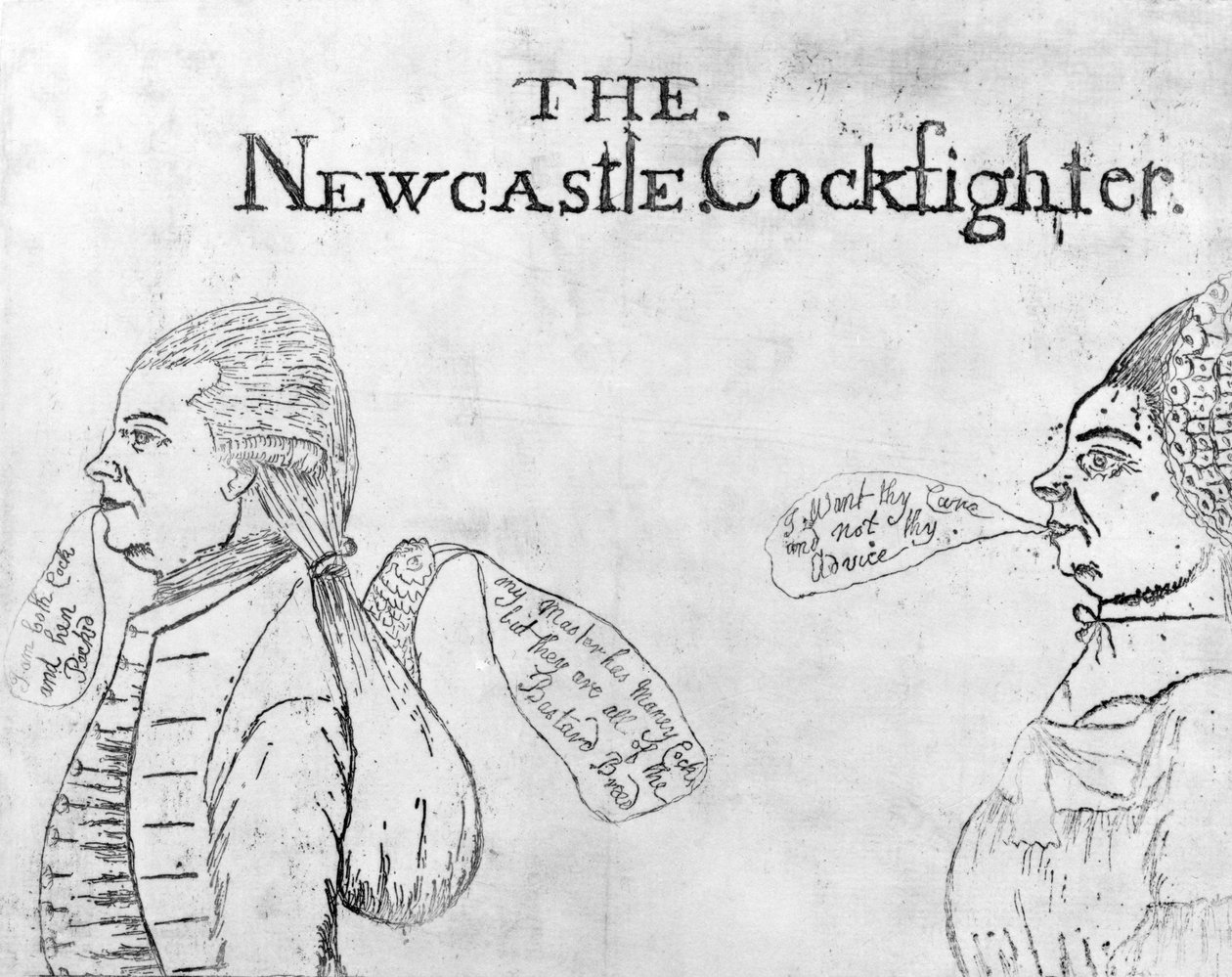 Newcastle Cockfighter, 1750 dolaylarında by English School