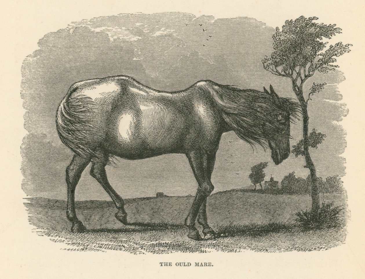 The Ould Mare (gravür) by English School