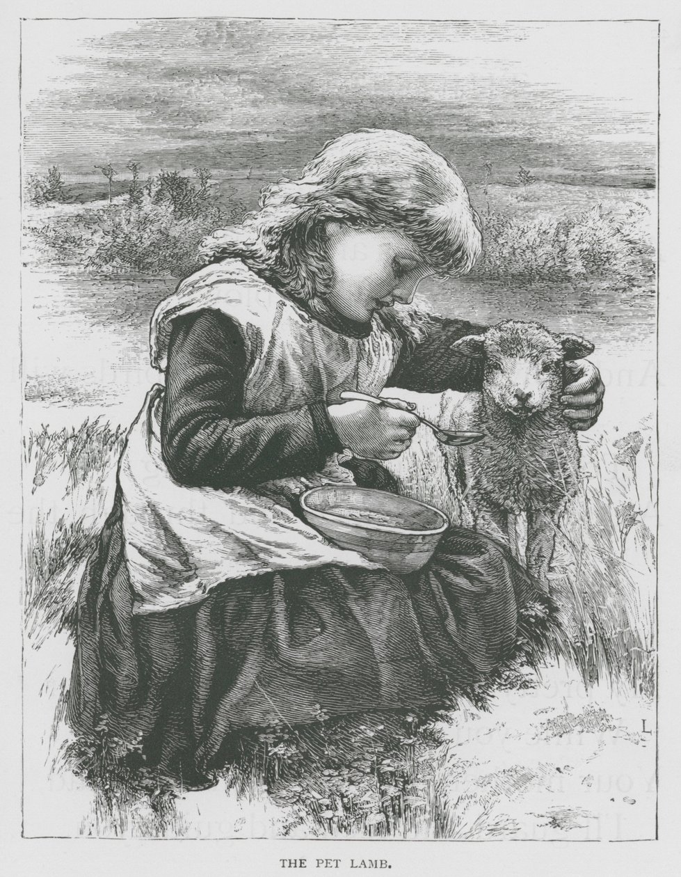 Evcil Kuzu (gravür) by English School