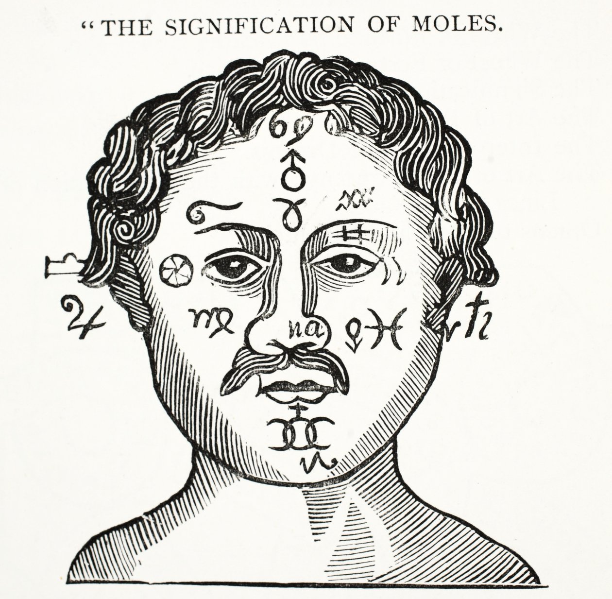 Köstebeklerin Anlamı, John Ashton