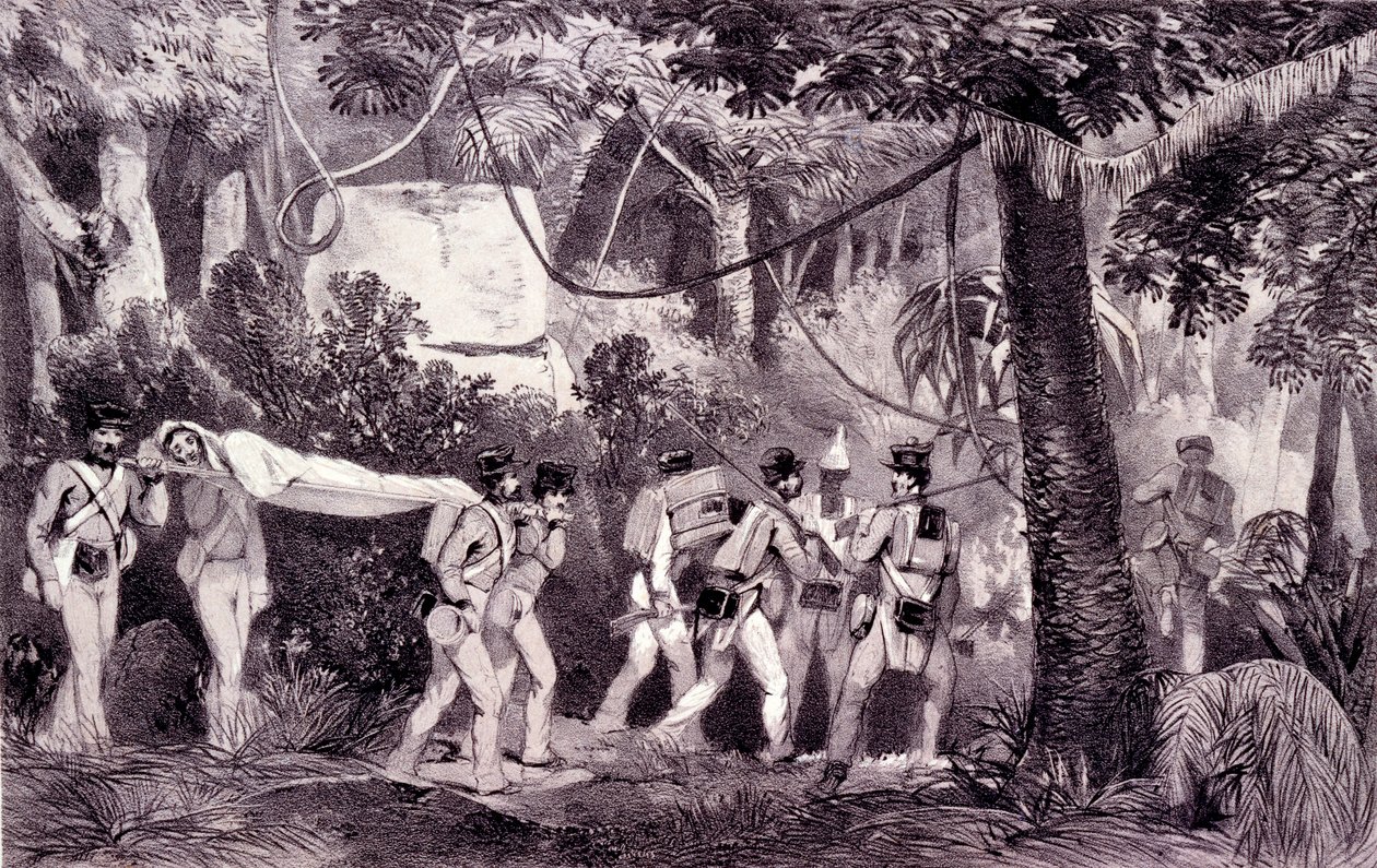 Sedye by English School