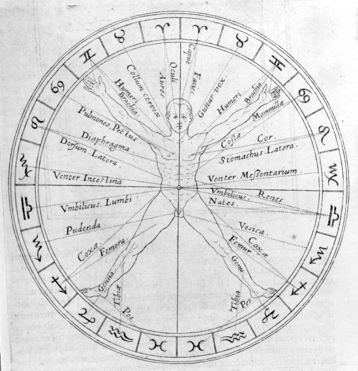 Robert Fludd tarafından yazılan 